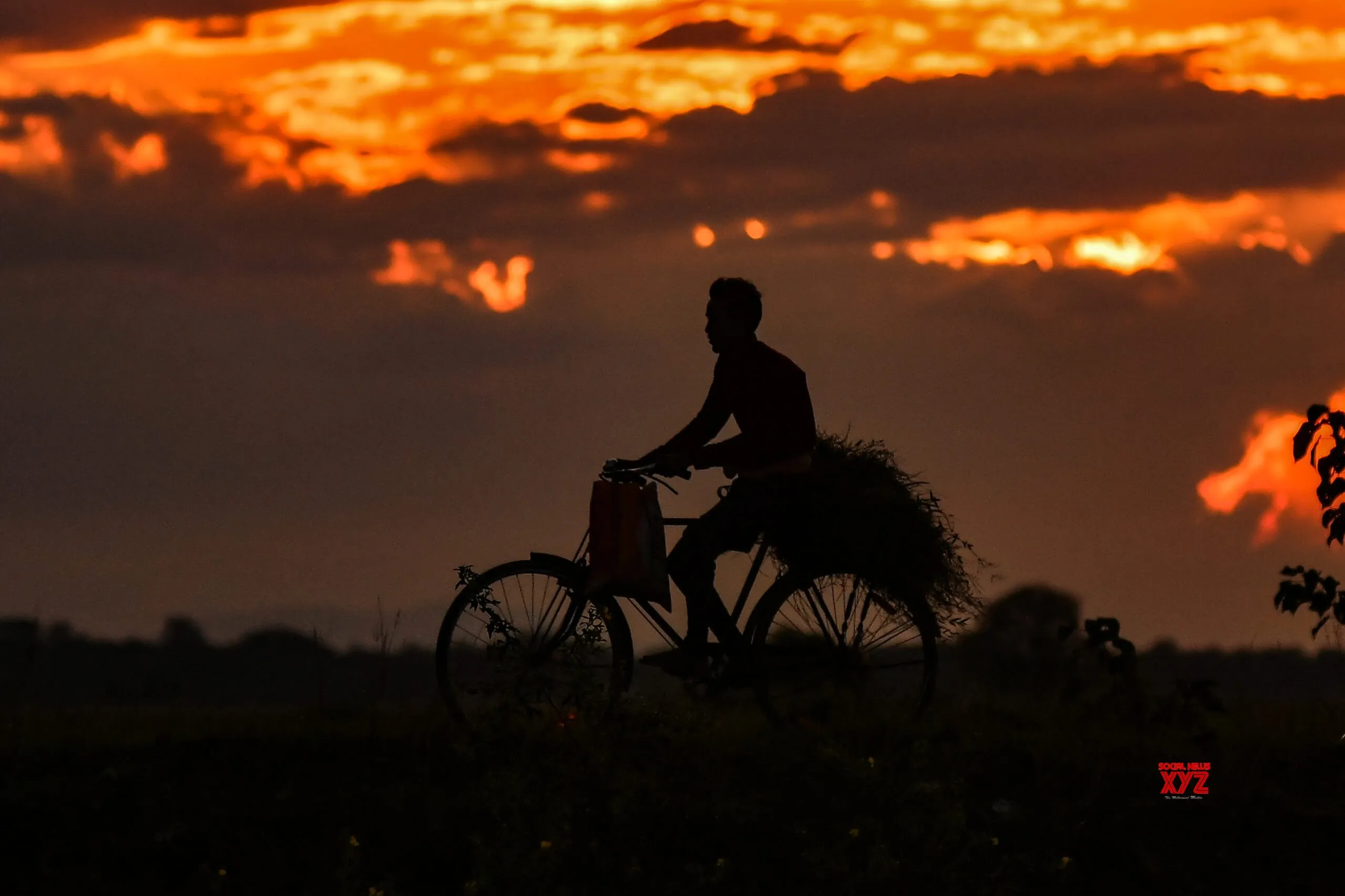 Nagaon: Villager cycles home at sunset #Gallery
