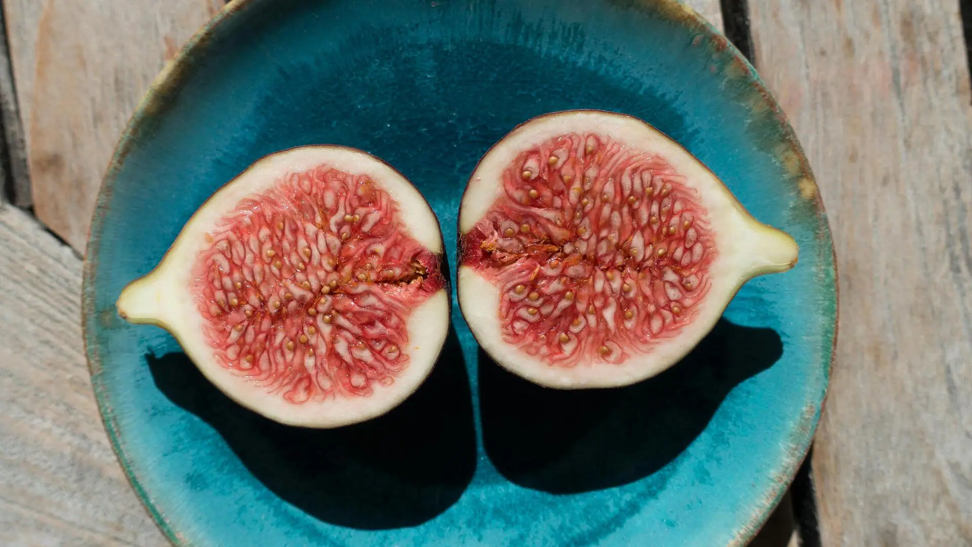 5 secrets to growing figs inside your home