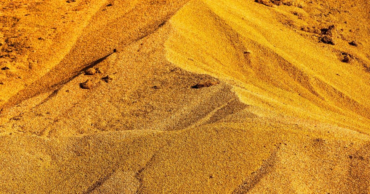 Omaha grain dealer pays $2 million debt it owed to 38 producers