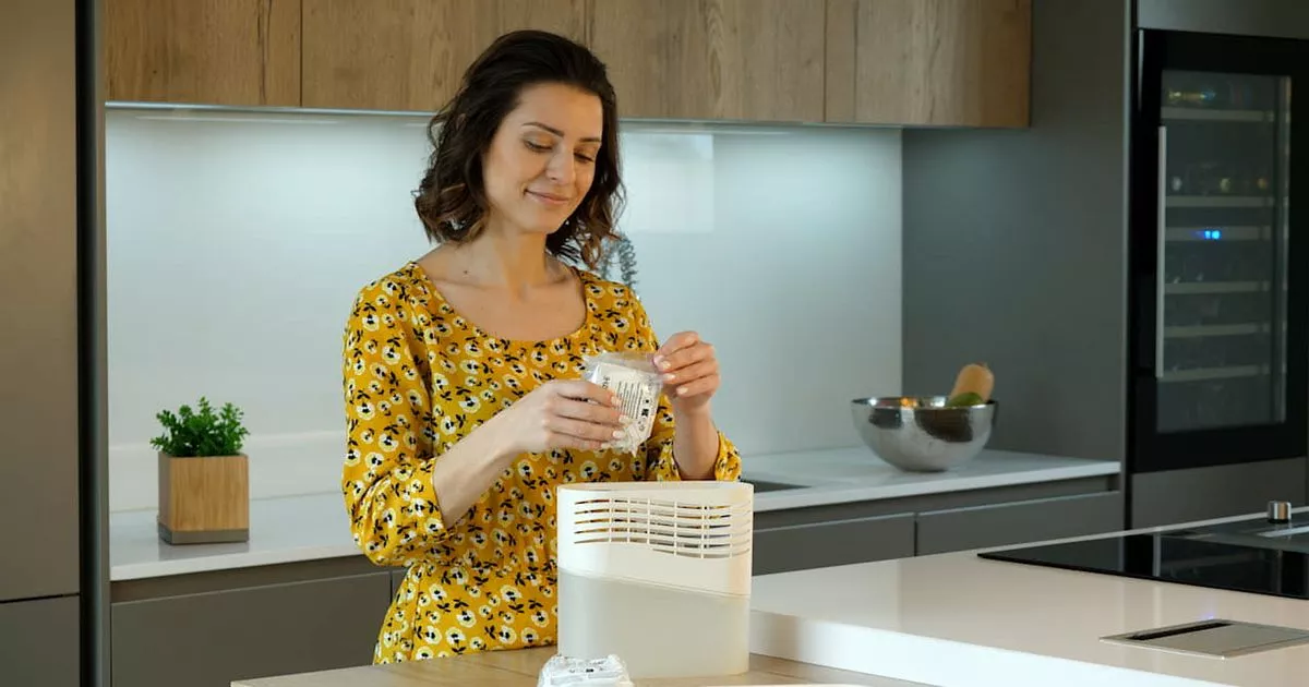 AD FEATURE: Banish damp and condensation with Bostik Breathe - a silent, energy-free dehumidifier