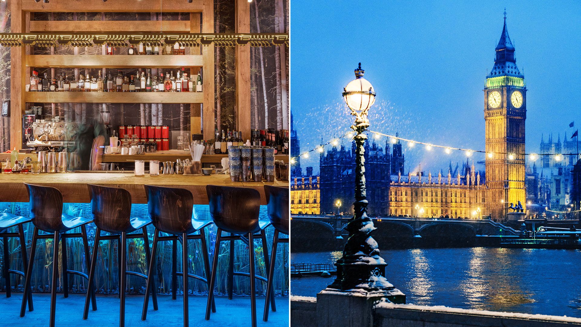 4 Heartwarming things to do in London in November 2025 – including a rooftop tipple