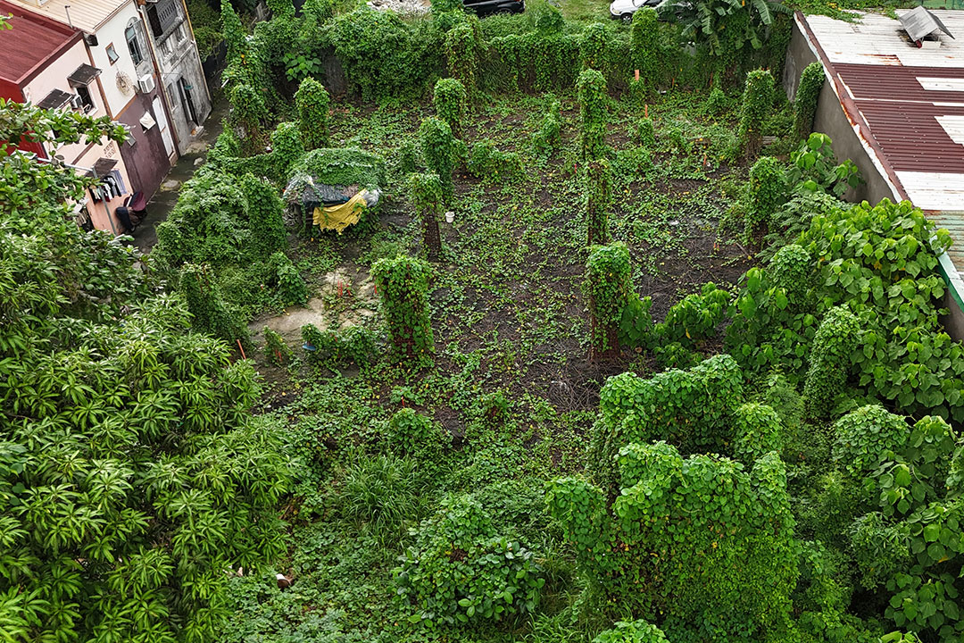 Budget realignments questioned