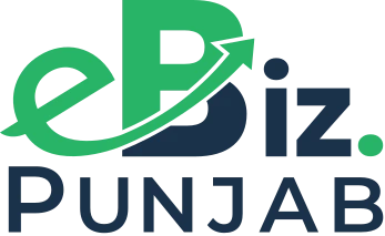 E-Biz portal activated in South Punjab for ease of doing business