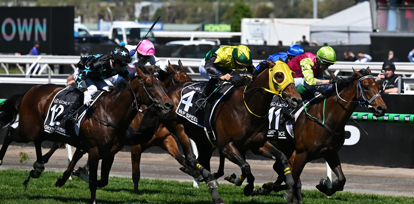 Is the Melbourne Cup losing its appeal? Here’s what the numbers reveal
