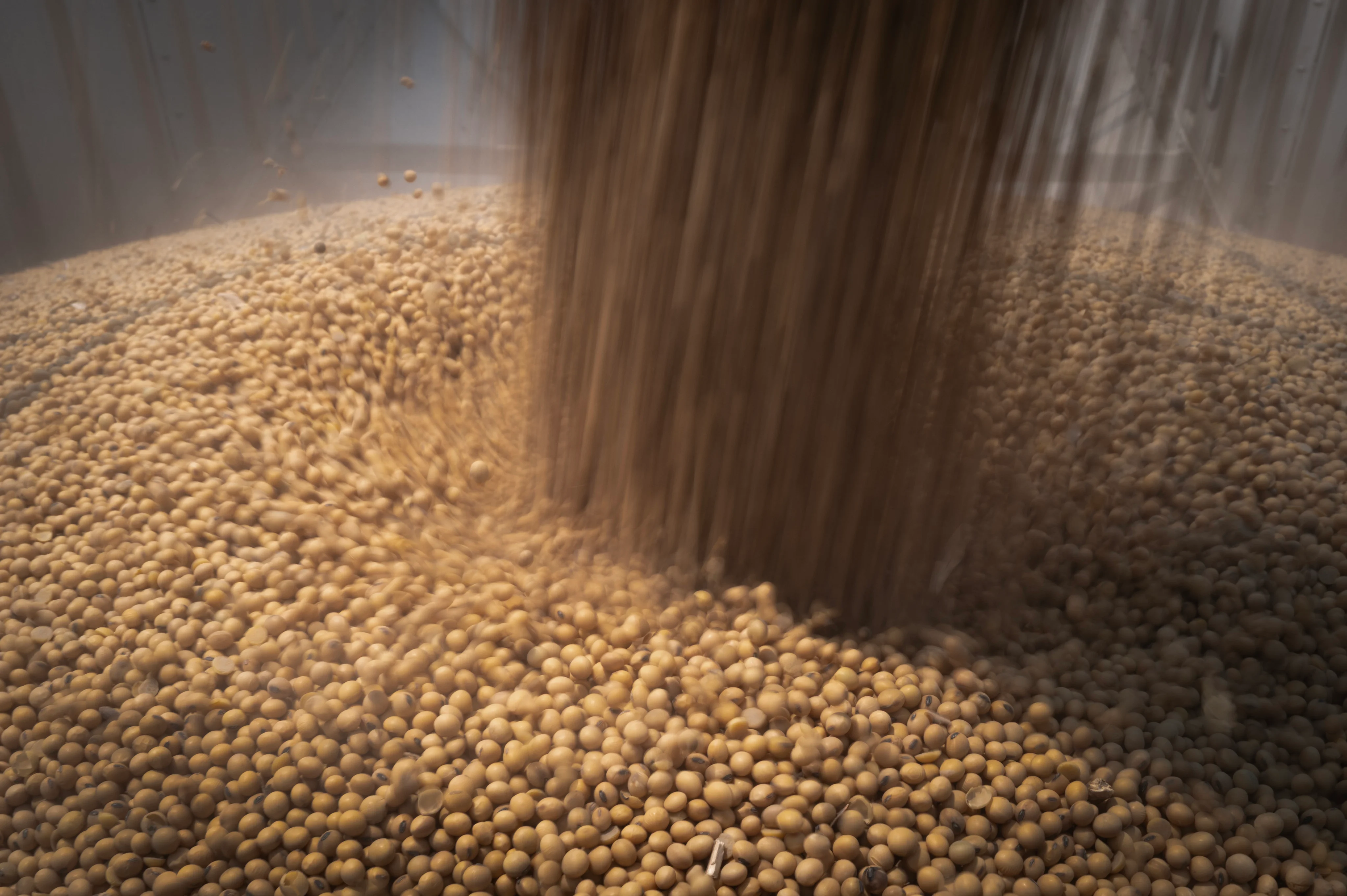 China signals soybean demand to spark ‘many deals’ with US – if prices are right