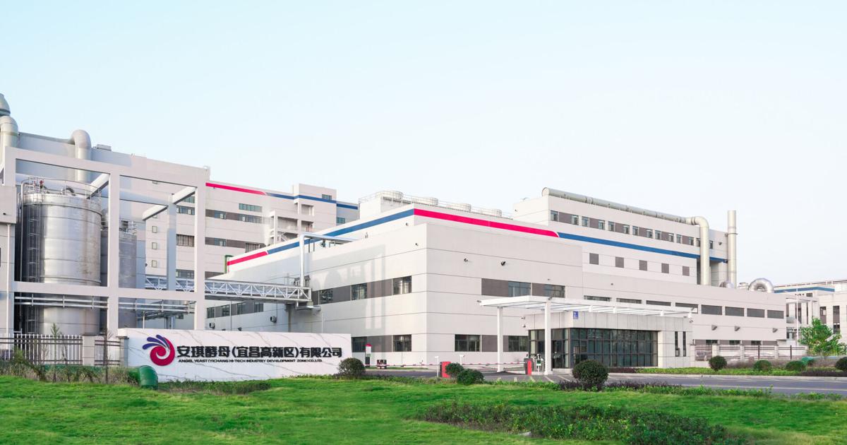 Angel Yeast starts Operating New 11,000-Ton Yeast Protein Production Line to Meet Global Demand for Sustainable Nutrition