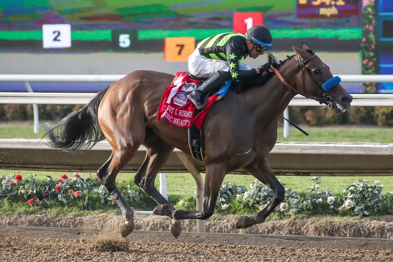 2025 Breeders’ Cup Distaff Preview: Betting The Best Fillies And Mares In The Game