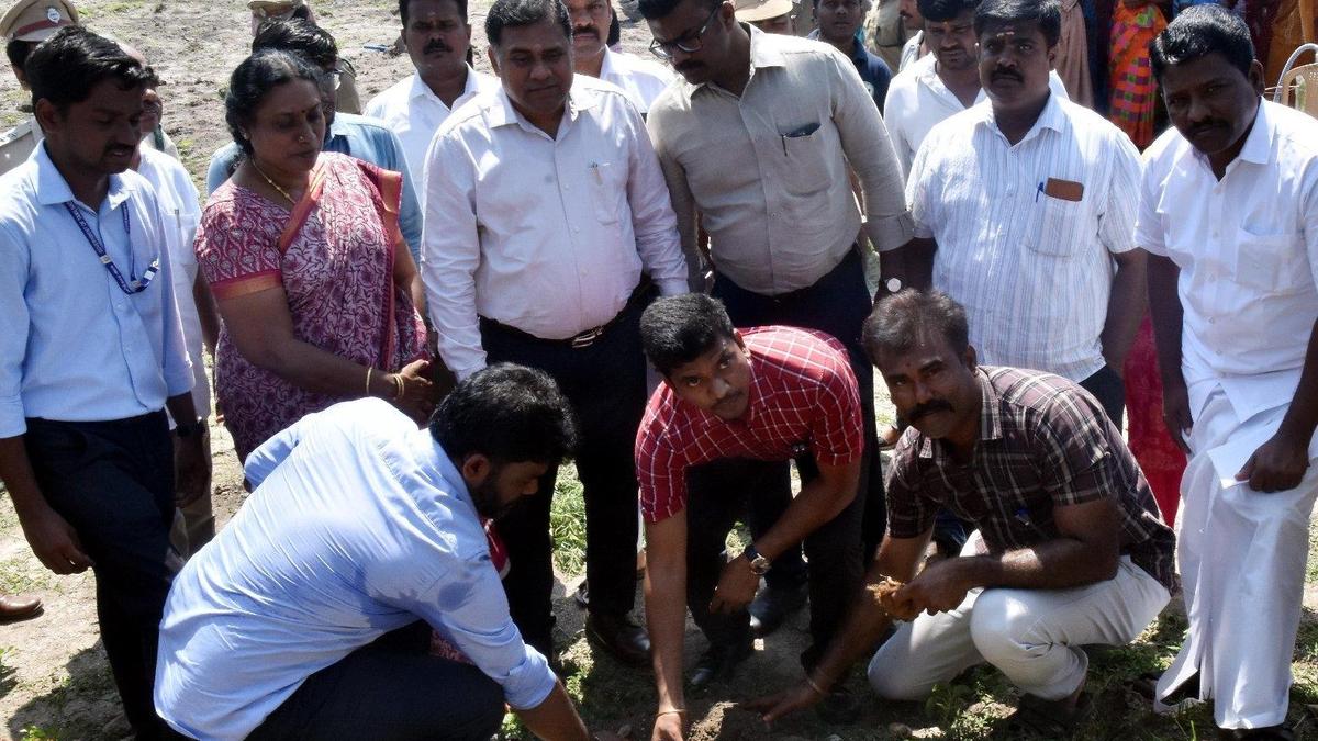 5,000 palmyrah seeds planted along Koushika river in Vadamalaikurichi