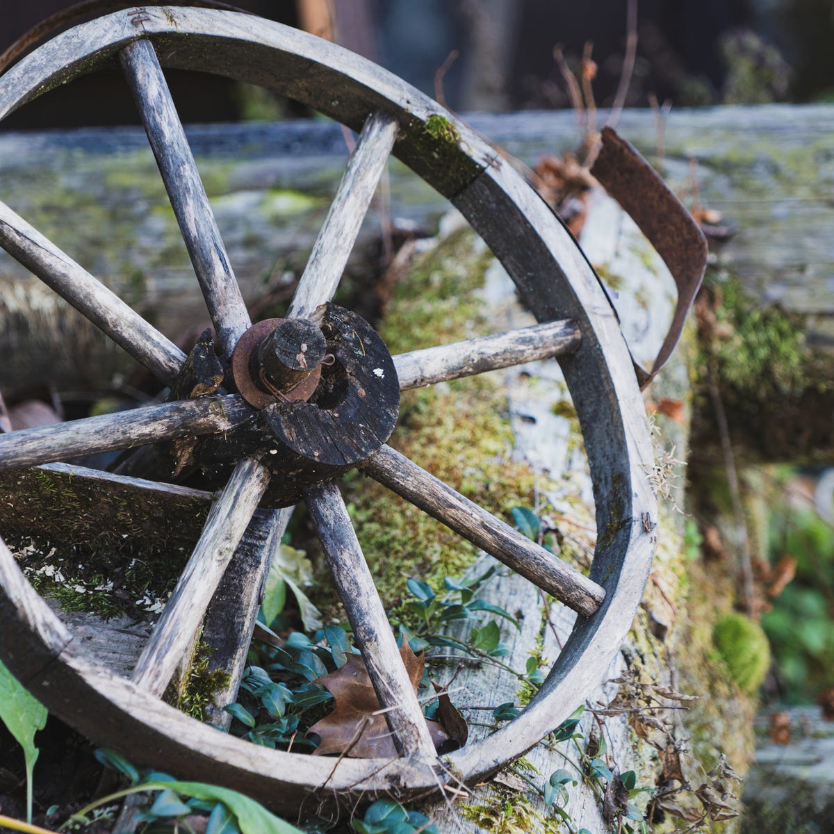 Archaeologists Discovered the Remains of an Ancient Roman Mechanic Shop