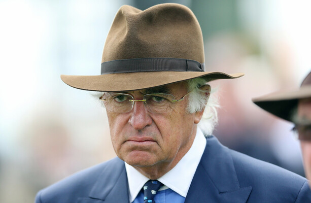 Coolmore Stud owner gifts 14 acres to Tipperary GAA for centre of excellence