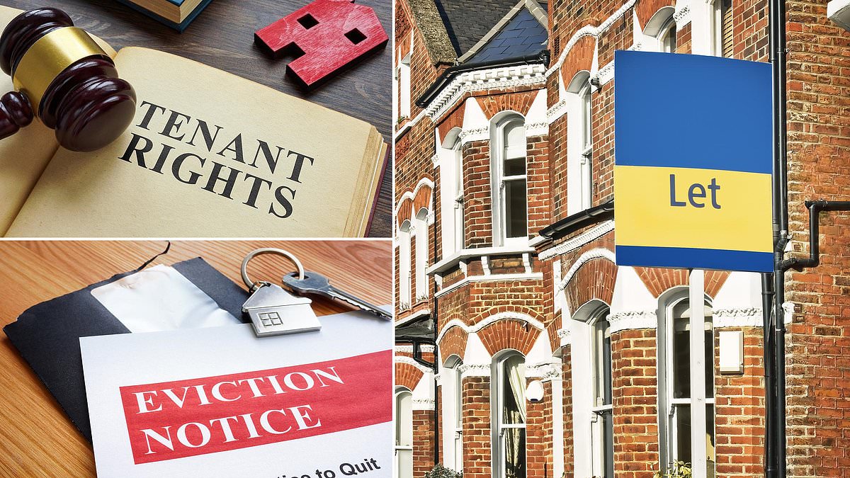 Renters' Rights Act becomes law - what it means for tenants and landlords