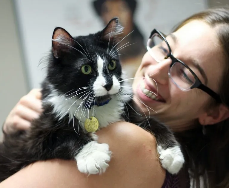 Cat Fest, Ready Vet Go, Veterans Day and more