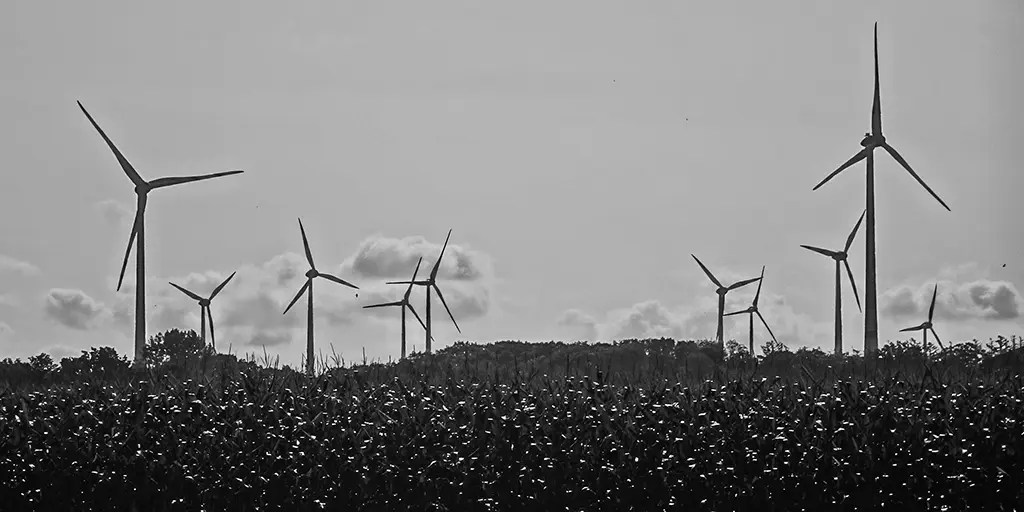 ‘Green’ Obsession Feeds Orthodoxy and Starves Growth