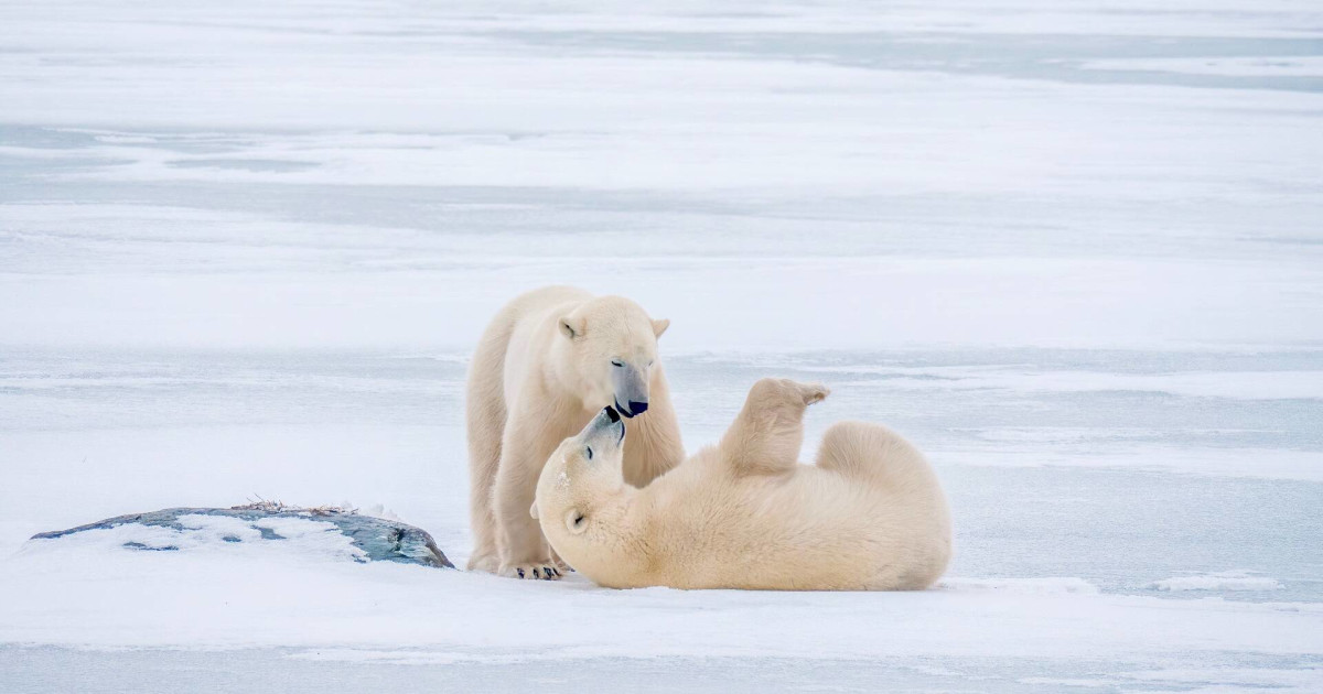 An unexpected Canadian province is getting a record number of tourist dollars