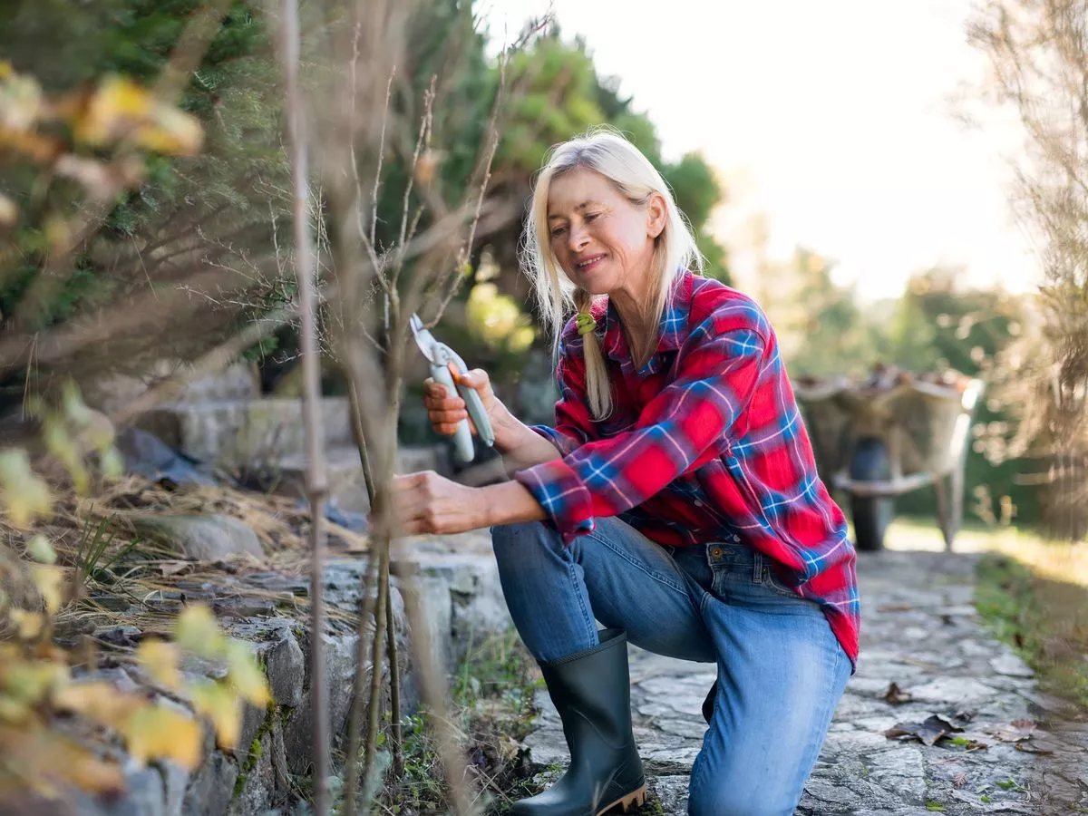 Prune these 4 vital plants now and get your best garden ever next spring