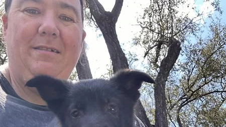 Buyers accuse Queensland breeder of selling puppies with health issues