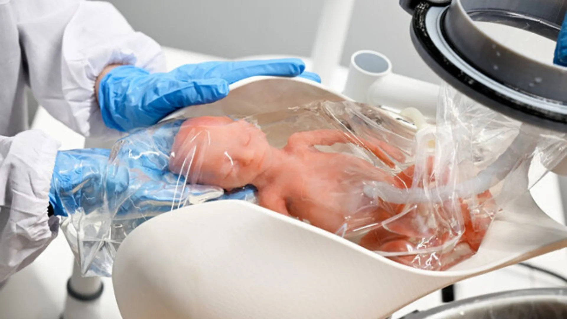 Artificial womb in glass tank could save premature babies