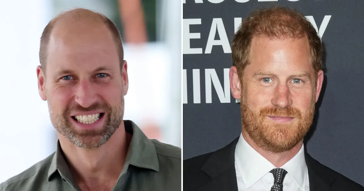 Royal Fears About Prince William’s Helicopter Use Connected to Harry