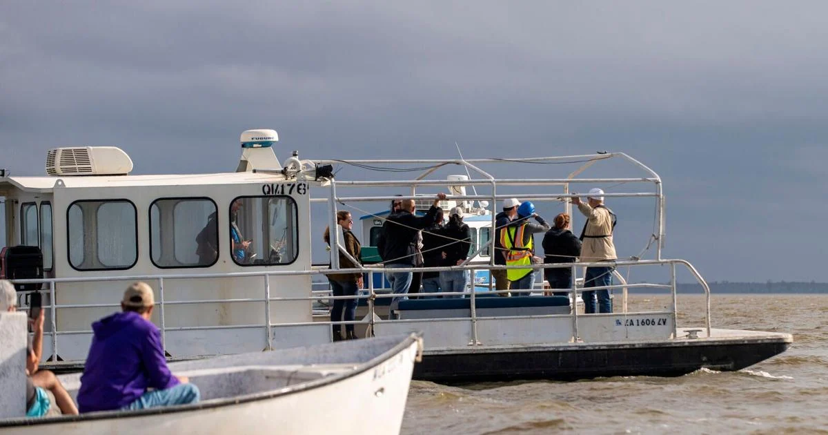 Critics of Lake Maurepas CO2 storage want deep Corps review