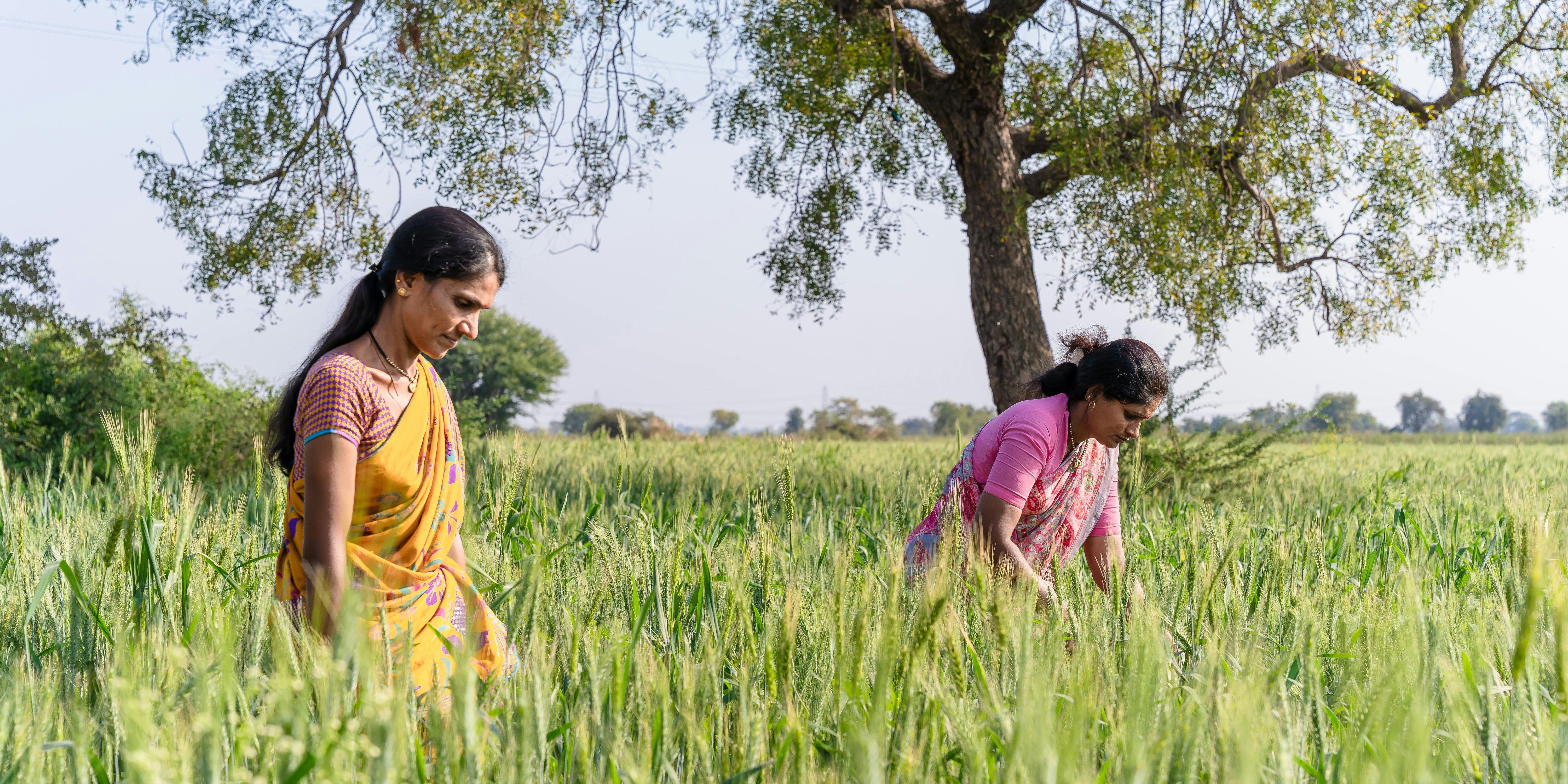 Kshema Insurance bags $20M from Paris Agreement’s Green Climate Fund
