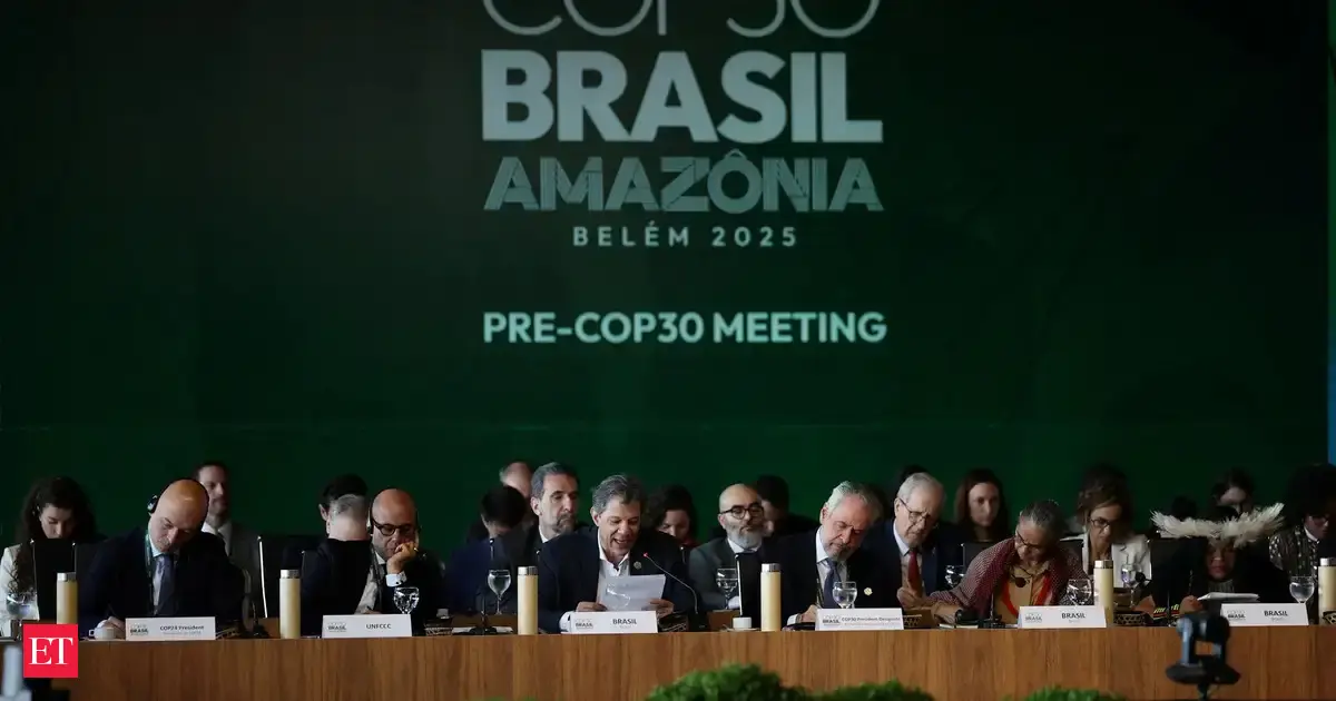 EU considers weakening 2040 climate goal over forest CO2 absorption ahead of COP30 summit, draft shows