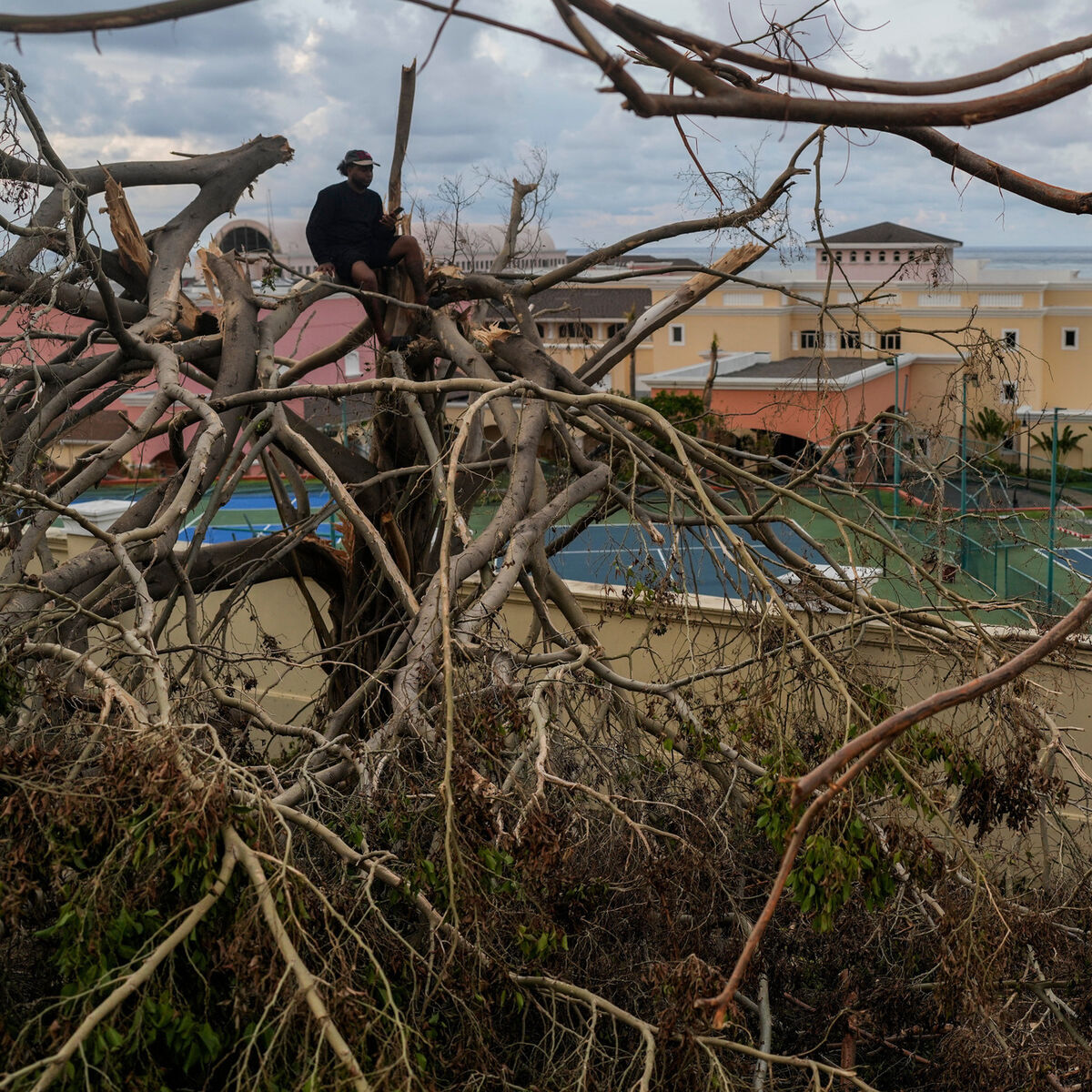 Jamaica rushes to prepare for peak tourism season following Hurricane Melissa