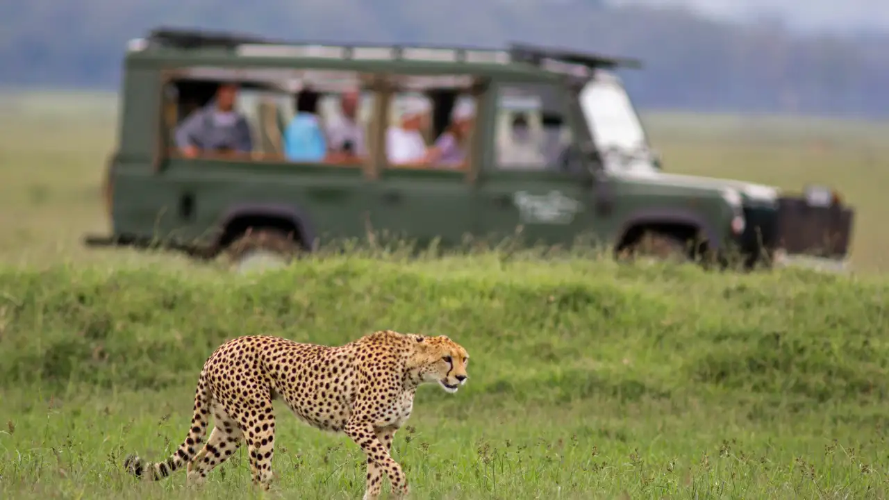 From Planning To Packing: A First-Timer’s Guide To The African Safari Experience