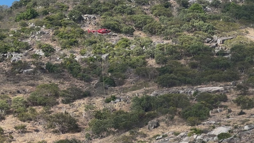 Authorities investigate woman's death on island off Great Barrier Reef