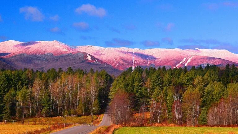 It’s snowliage season in New England. Have you seen it?