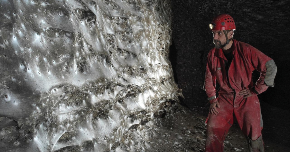 World’s Biggest Spiderweb Found in Horror Cave Crawling With 111,000 Spiders