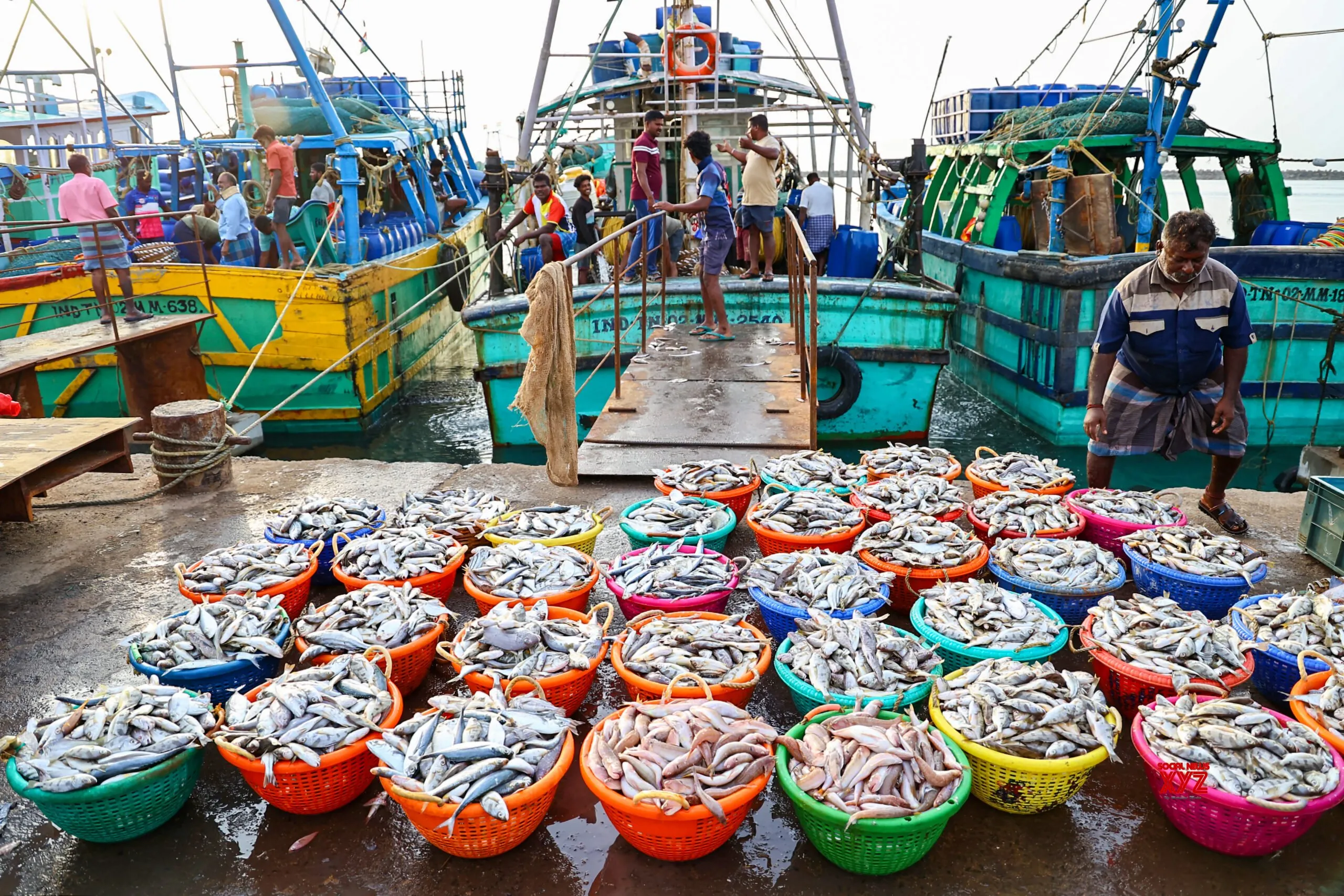 Seafood exporters seek market diversification, value addition amid US tariff blow
