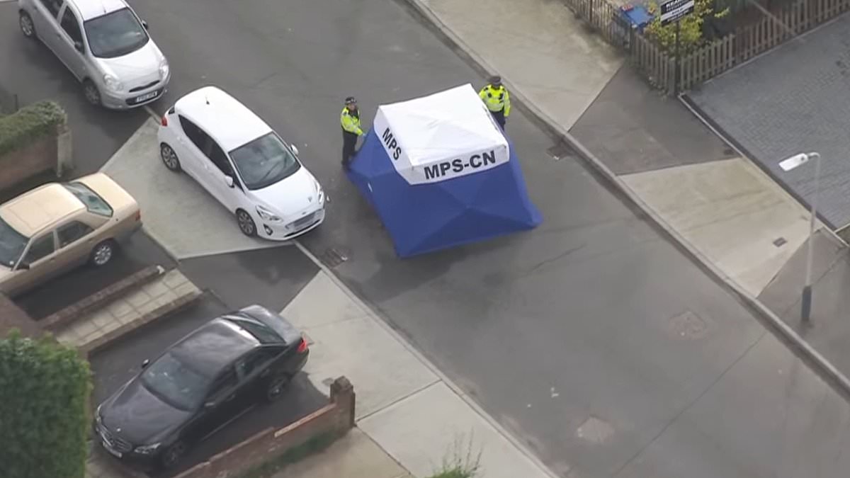 Afghan national who was arrested after a triple stabbing that left a man dead 'had arrived in the UK in a lorry in 2020 and had been granted asylum'