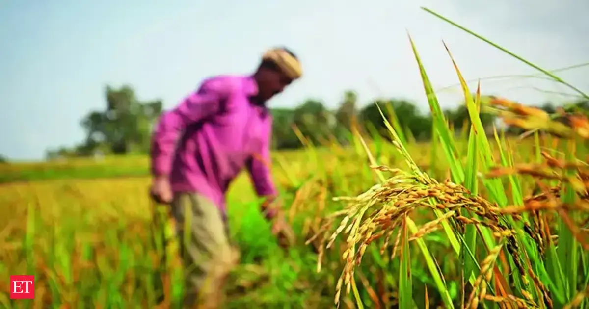 Urea imports jump over 2-fold to 58.62 lakh tons in April-October, no local shortage: Govt