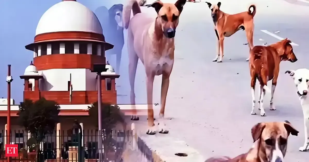 SC to issue directions on Nov 7 with respect to feeding of stray dogs in institutions