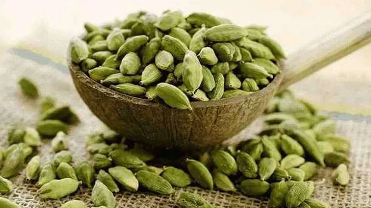 Elaichi Health Benefits : सेहत के लिए वरदान है इलायची, जानिए रोज़ खाने के अद्भुत लाभ