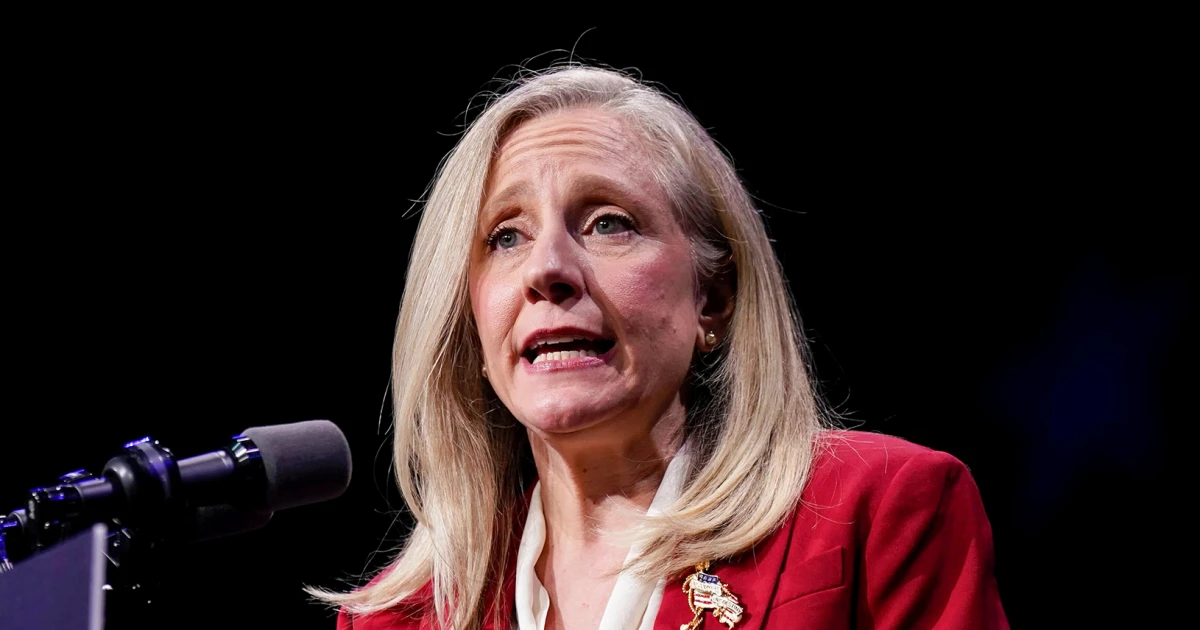 Democrats’ biggest election winners knew how to reject anti