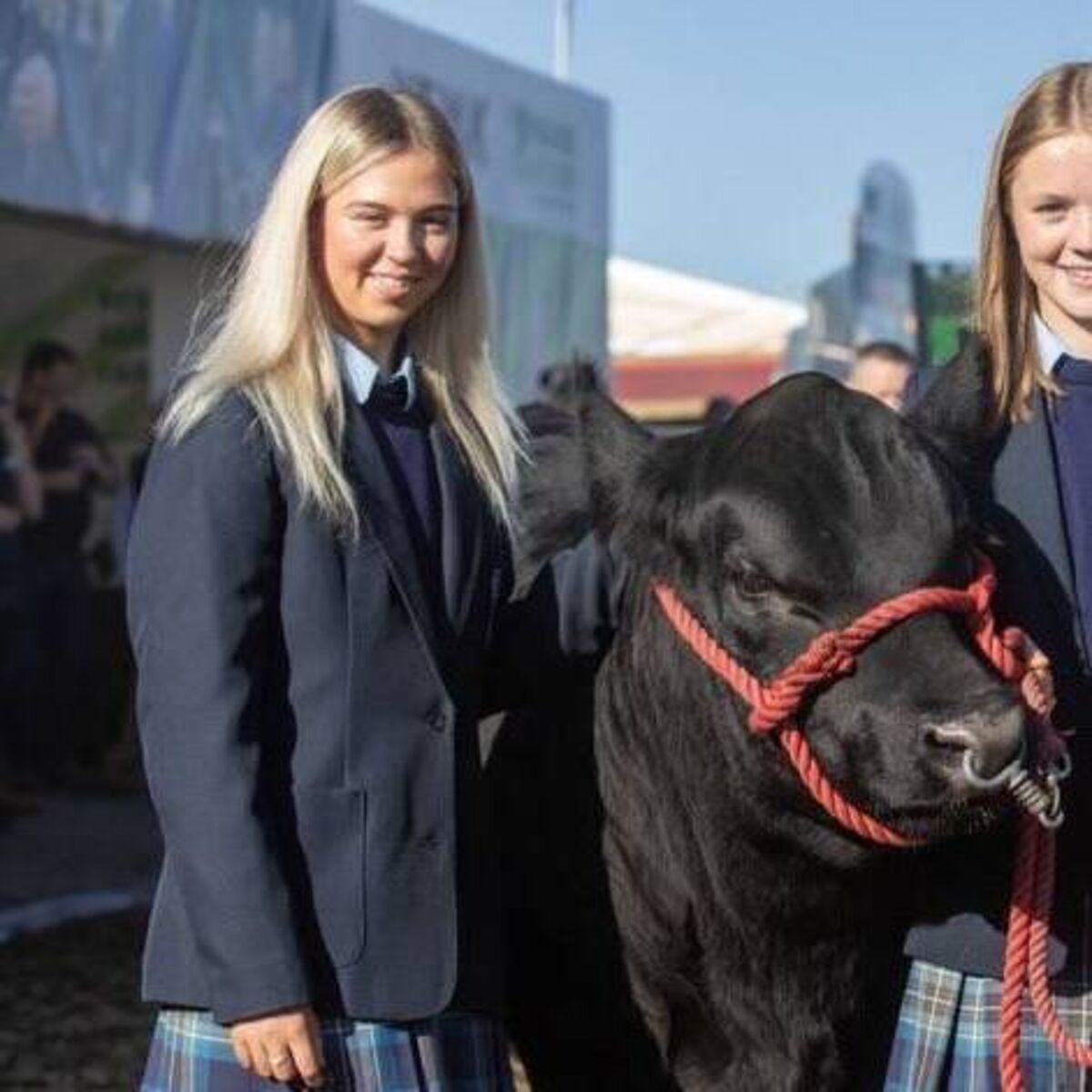 How a team from Galway aims to promote Irish Angus beef perceptions