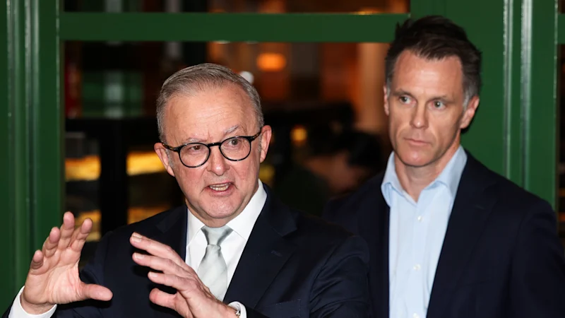 NSW has become federal Labor’s problem child. But will voters tolerate its tantrums?