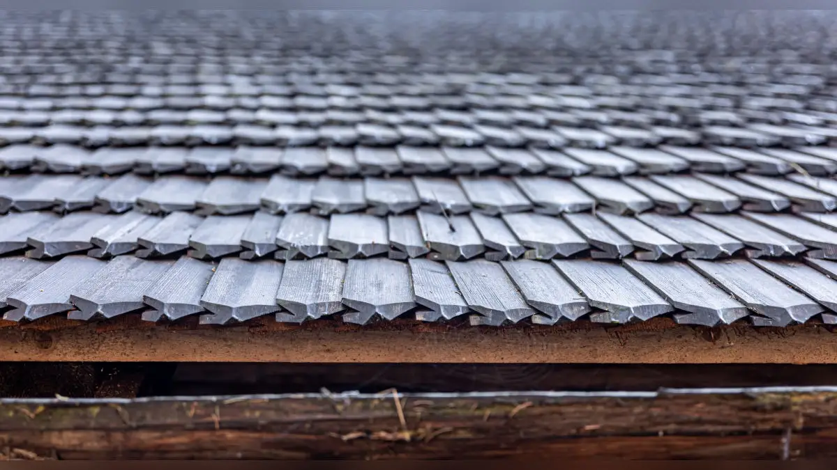 All You Need To Know About Fresh NGT Guidelines On Use Of Asbestos-Cement Roofing Sheets in Schools and Homes