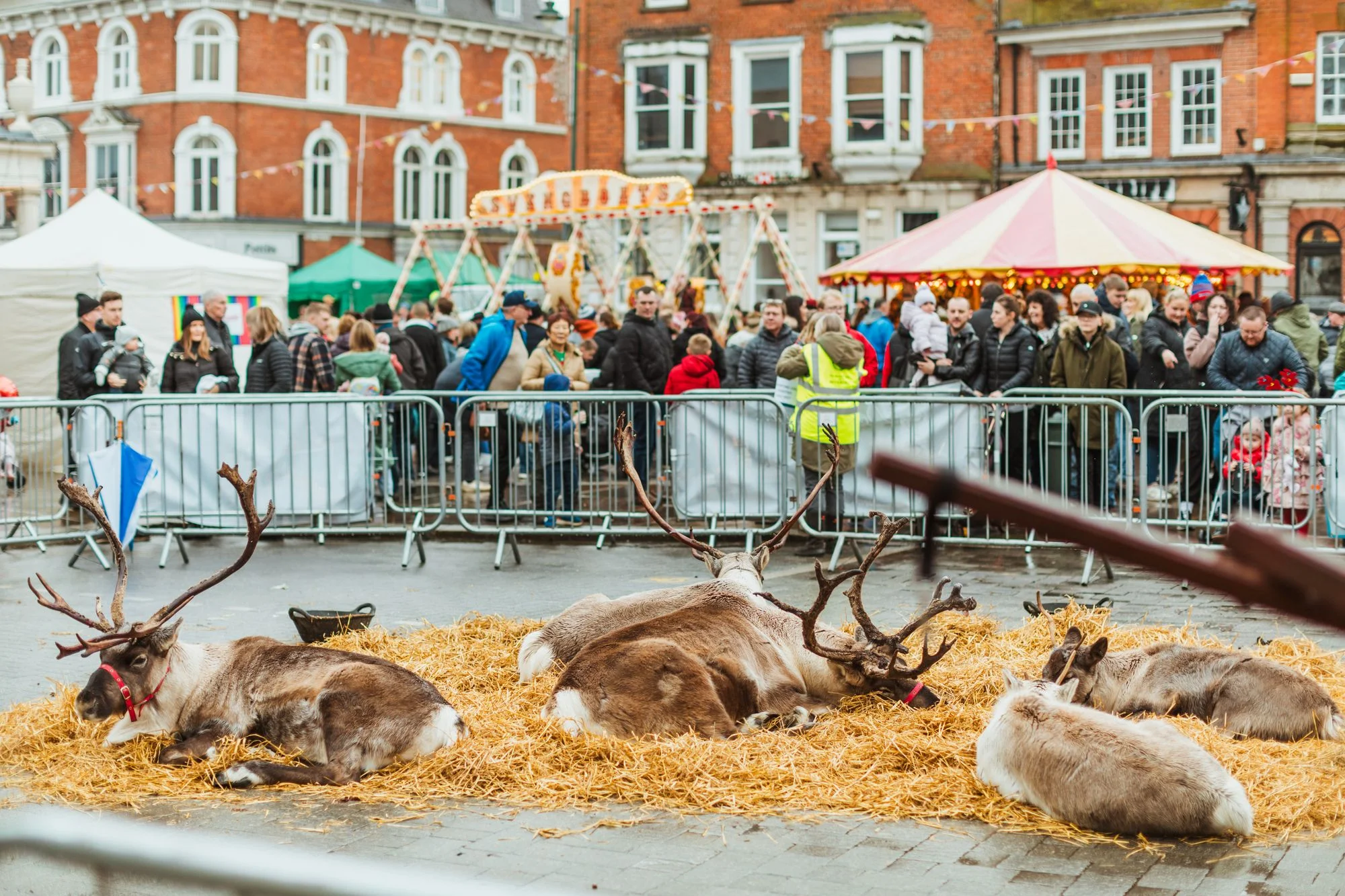 UK’s largest one-day Christmas market returns after last year’s cancellation