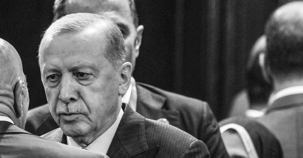 The Indispensable Erdogan