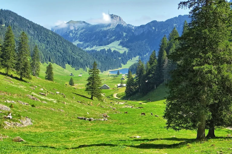 What Is the Commons-And Why Does It Matter Today?