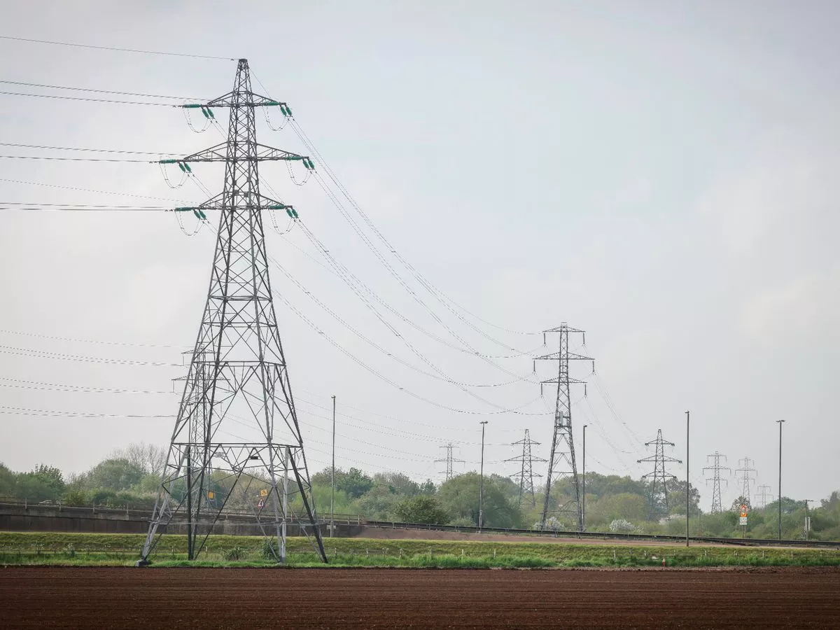Welsh farmers 'being invaded' by pylon plans take company to court