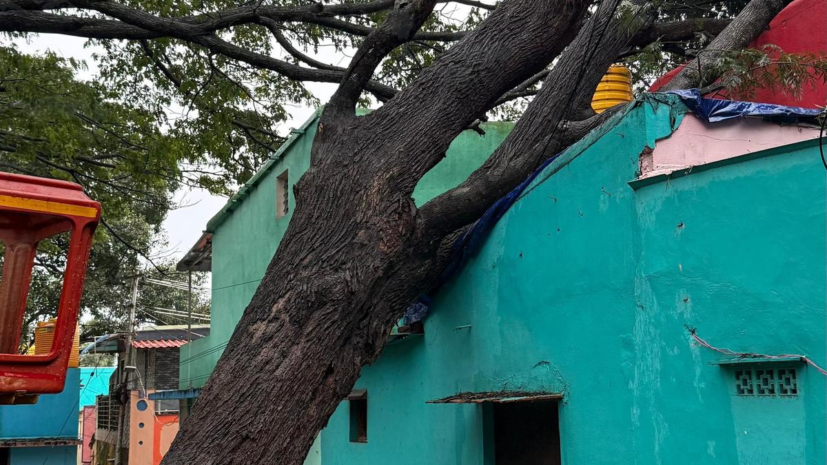 Cyclone Montha disrupts pilgrim life in Tirumala