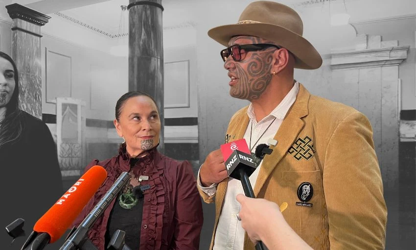 A month on from its reset, what exactly has Te Pāti Māori changed?