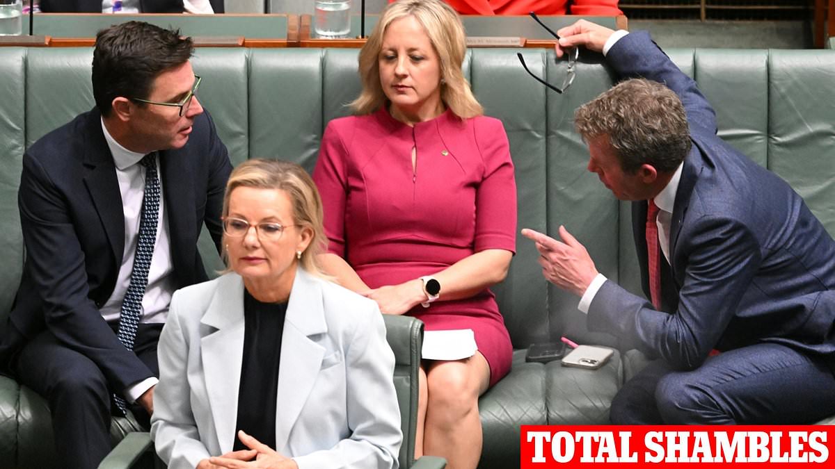 'Net zero by 2050' is total BS. But opposing it is like opposing WORLD PEACE: PETER VAN ONSELEN