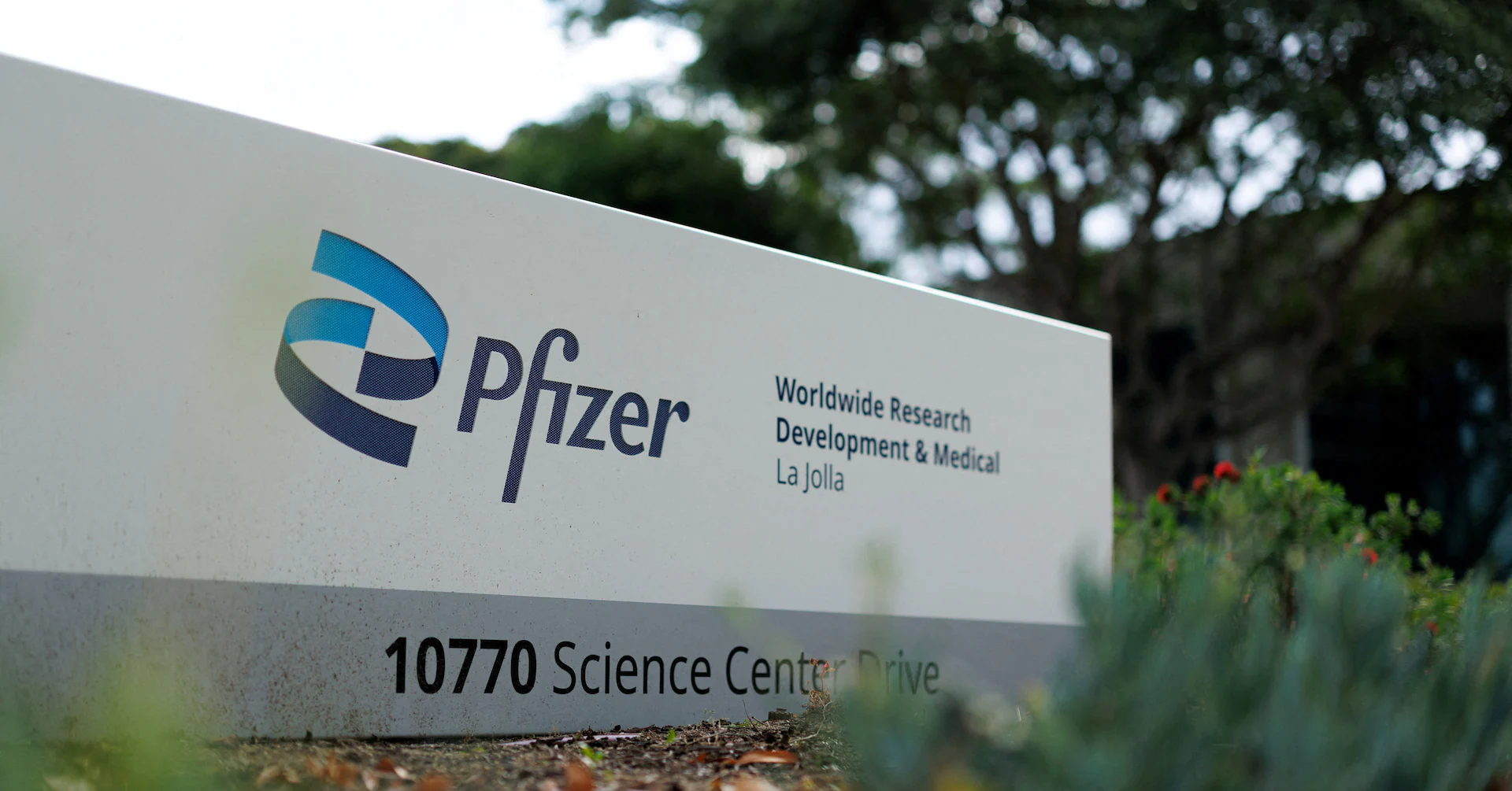Metsera weighs rival bids from Pfizer, Novo in $10 billion obesity drug battle