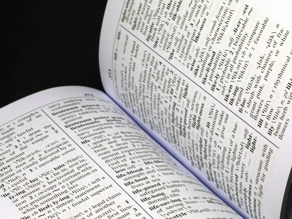 New 'racist' term among words of the year alongside broligarchy