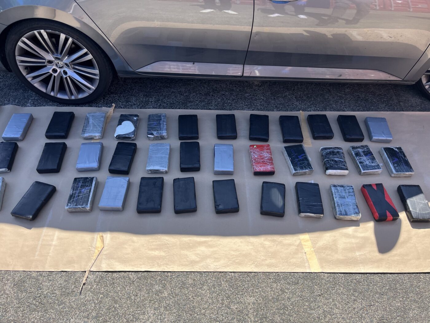 Police seize cocaine delivered to Auckland business