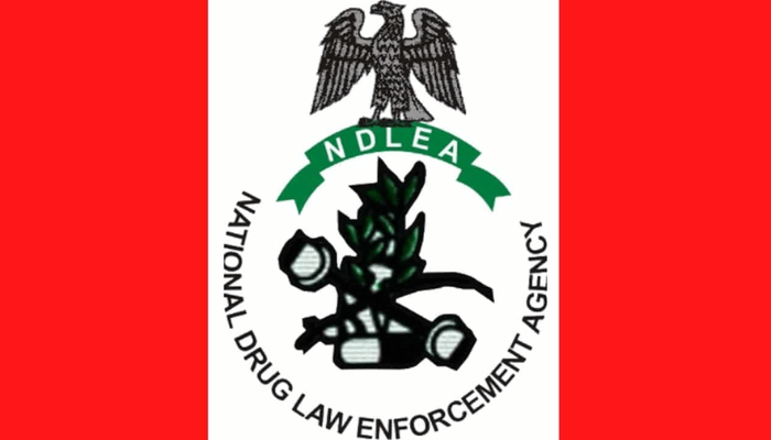 NDLEA alerts Nigerians on fake medicinal cannabis, arrests kingpin